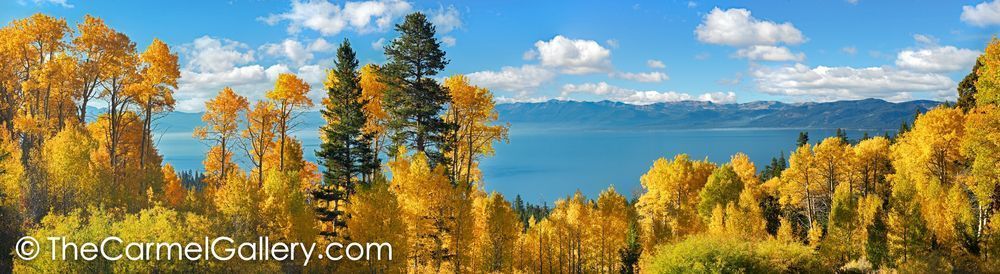 Aspen Panorama