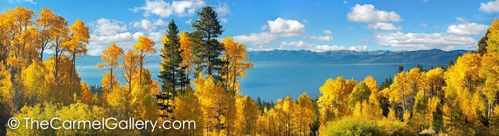 Aspen Panorama