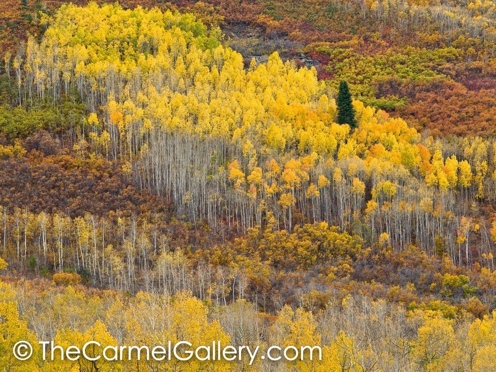 Aspen Cascade, Utah