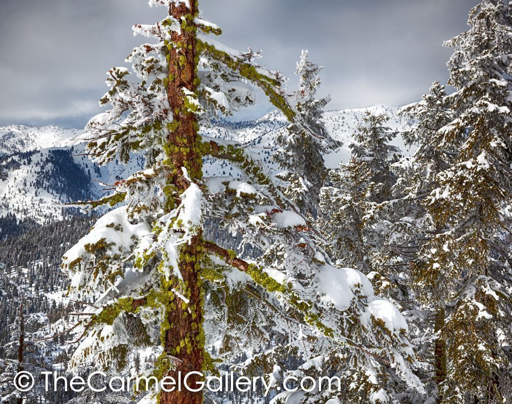 Approaching Sierra Storm