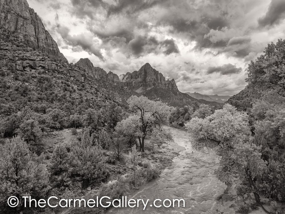 Approaching Storm, Zion Photography Art | The Carmel Gallery