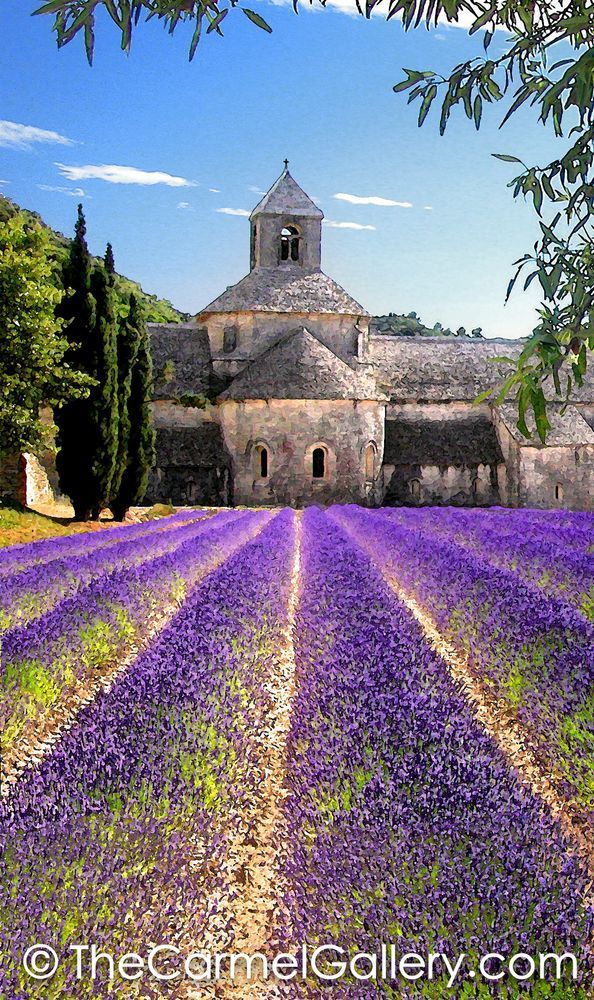 Abbaye de Senanque