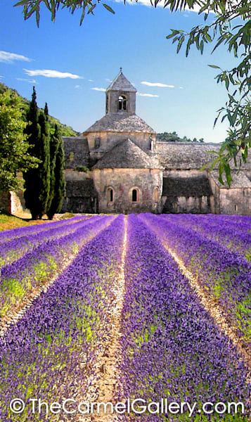 Abbaye de Senanque