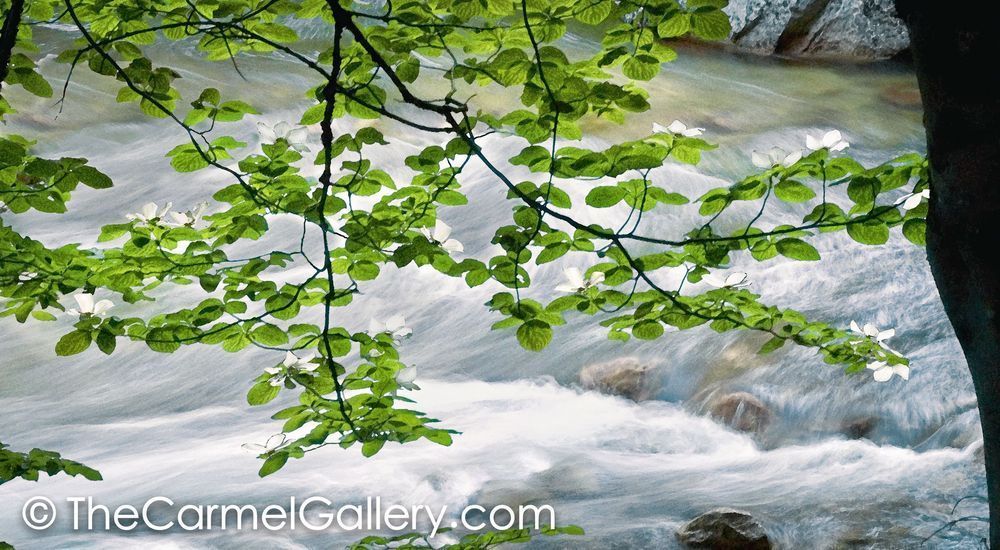 Along the River Bank