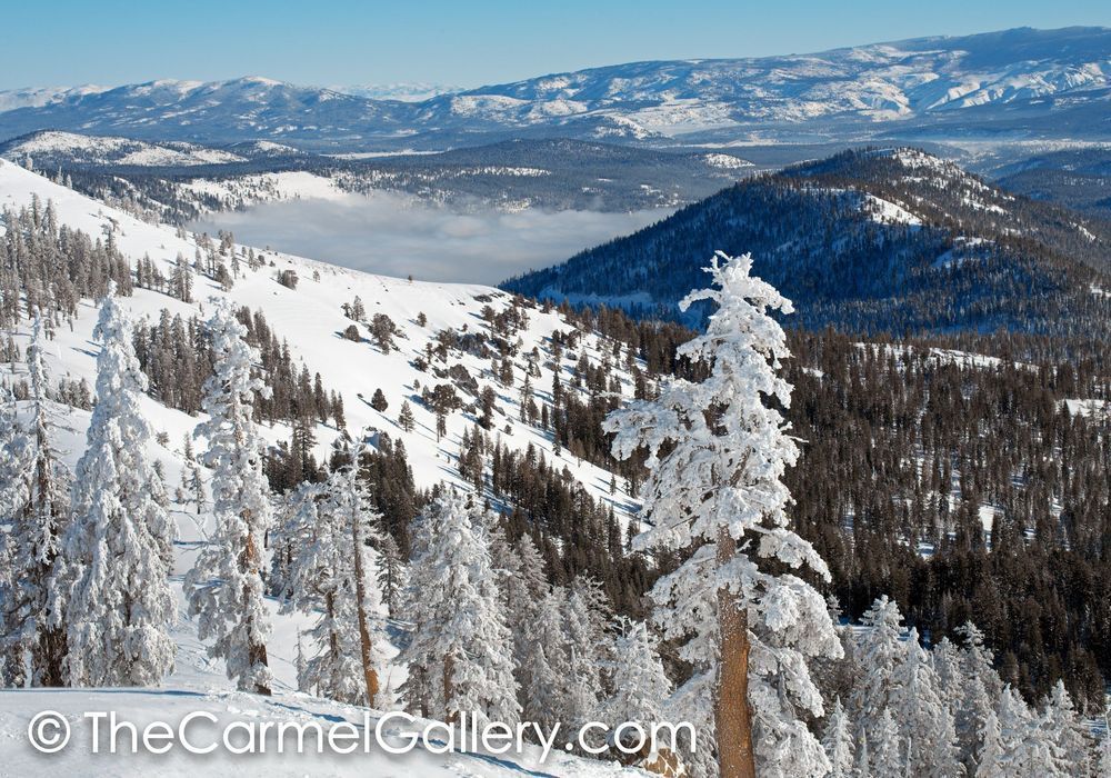 Fresh Snow, Donner Summit