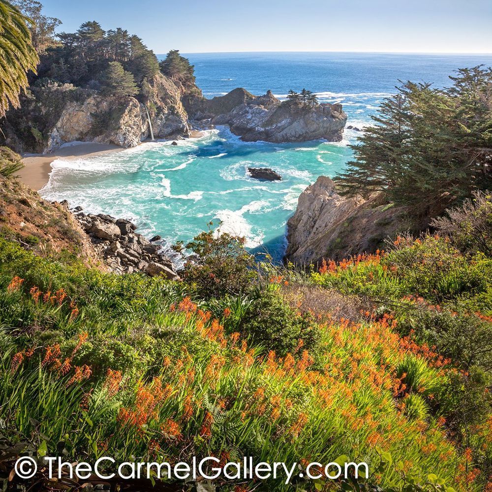February Bloom Mc Way Falls Photography Art | The Carmel Gallery