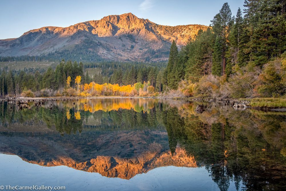 Fallen Leaf Reflections Photography Art | The Carmel Gallery