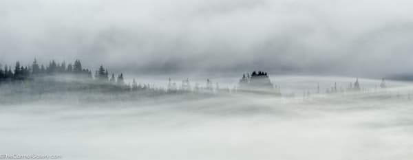 Forest Threads Photography Art | The Carmel Gallery