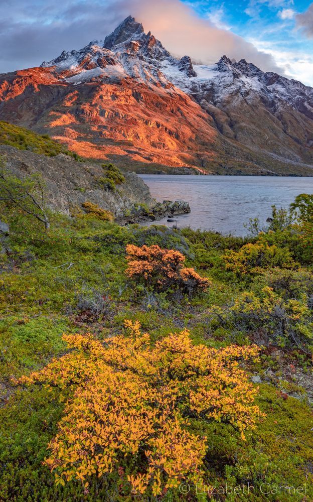 Footsteps Of Autumn Photography Art | The Carmel Gallery