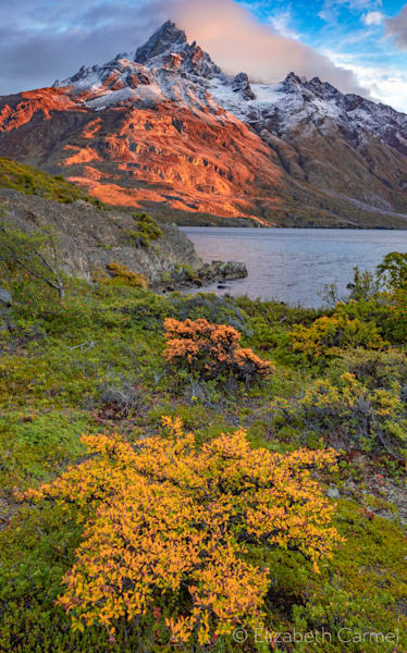 Footsteps Of Autumn Photography Art | The Carmel Gallery