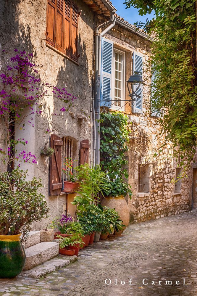 Fleurs De La Rue Photography Art | The Carmel Gallery