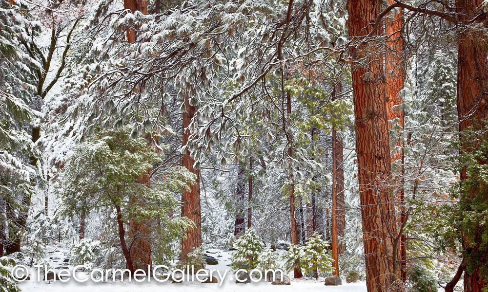 First Snow High Sierra
