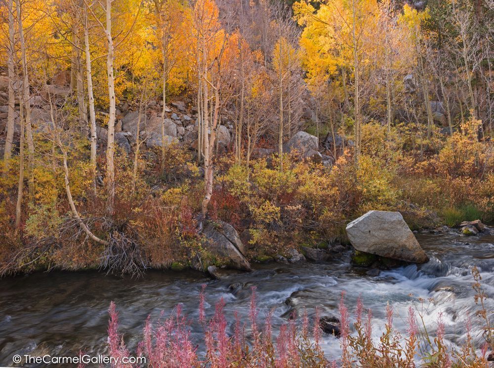 First Sun Photography Art | The Carmel Gallery