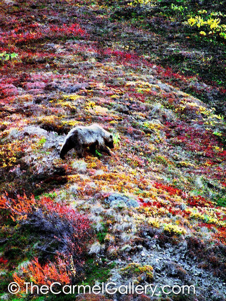 Grizzly Garden