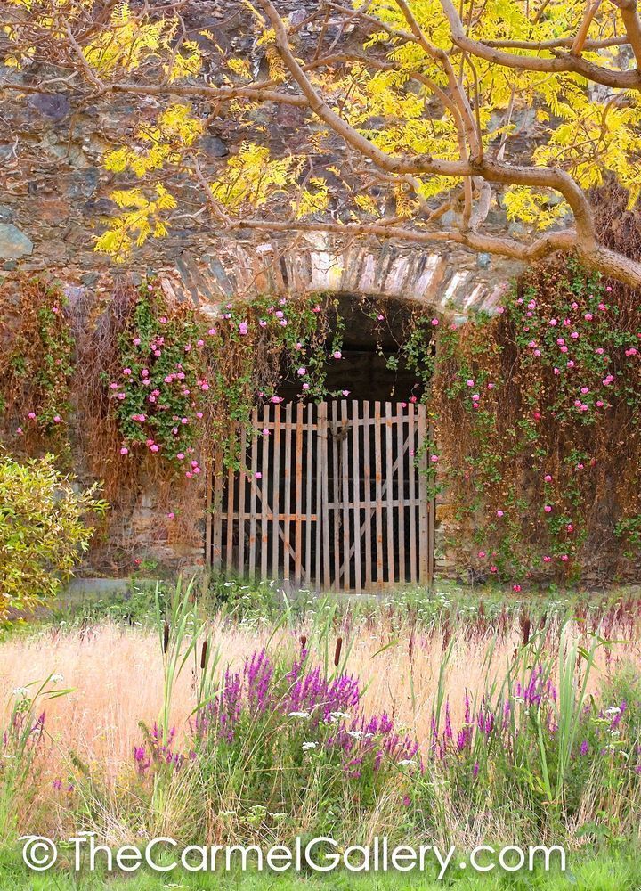 Gate of Ages