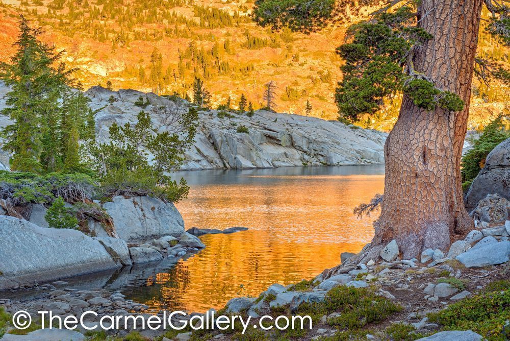 Golden Sunrise, Lake Fontanellis