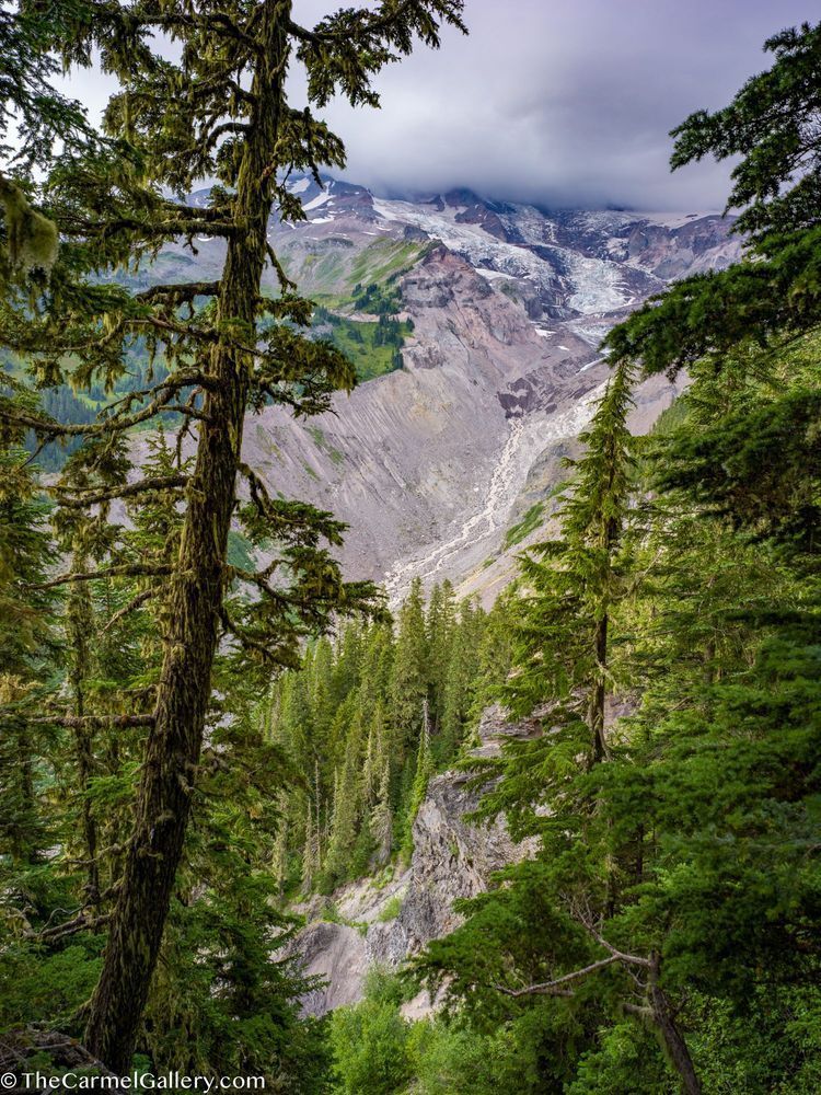 Glacier View Rainier Photography Art | The Carmel Gallery