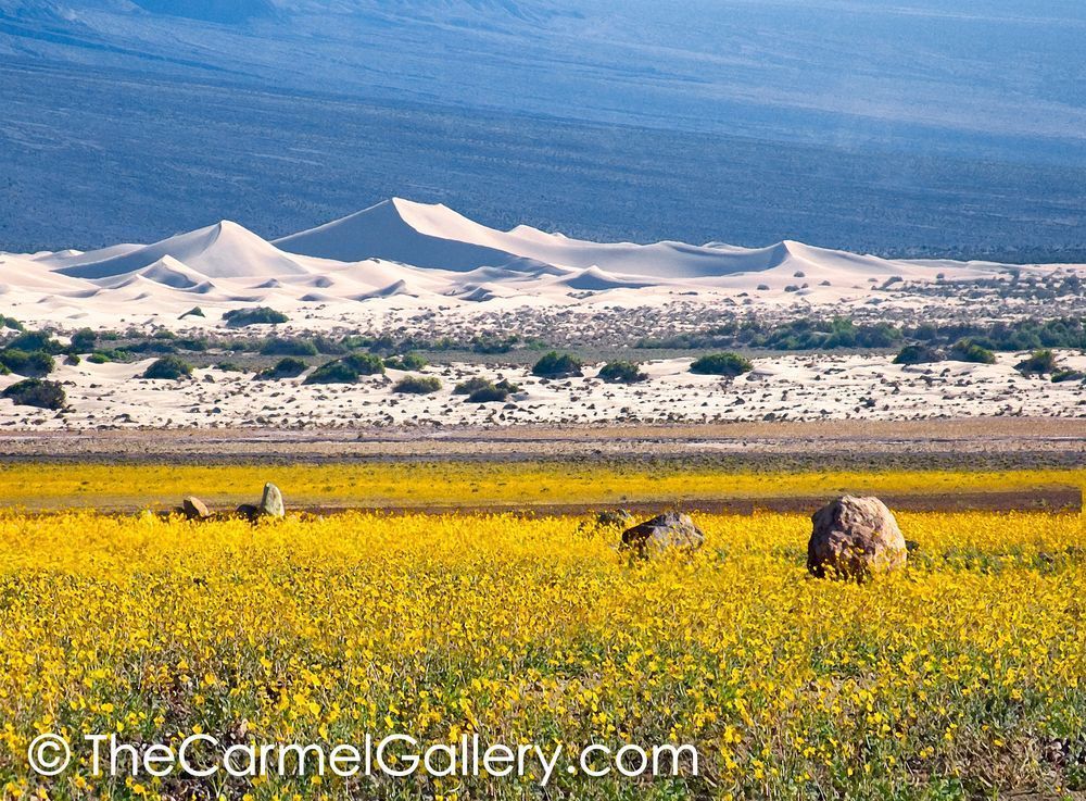 Desert Gold, Death Valley
