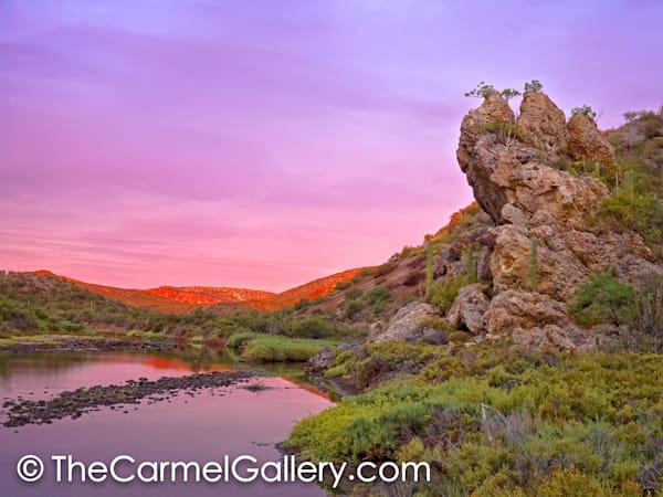 Desert Oasis, Baja