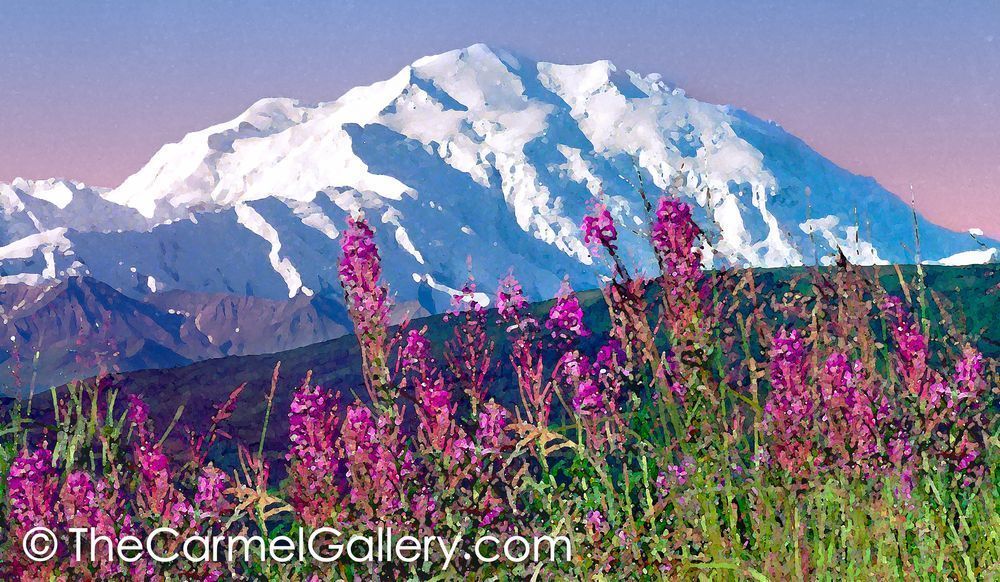 Denali Summer