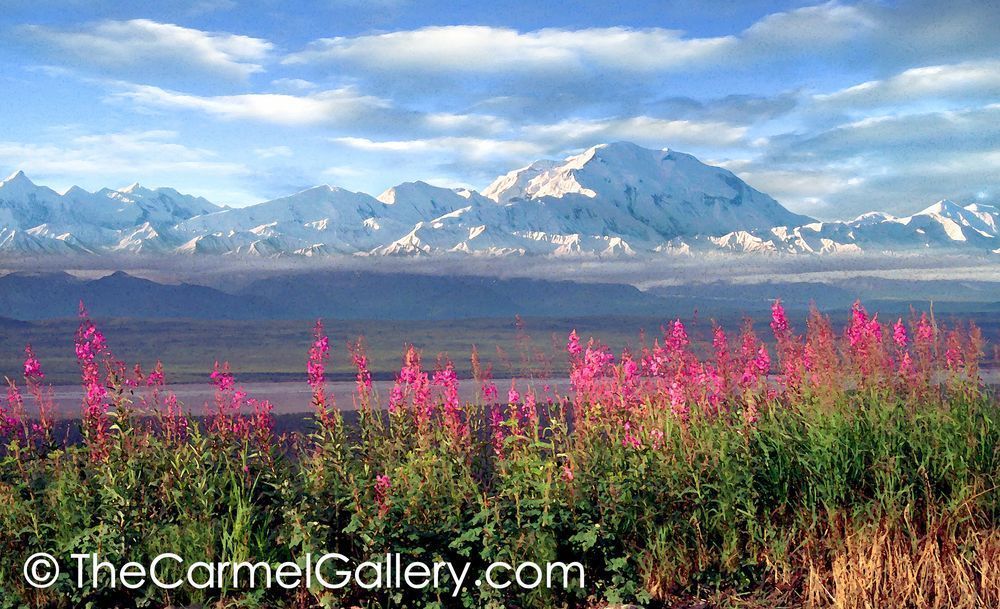 Daybreak Denali