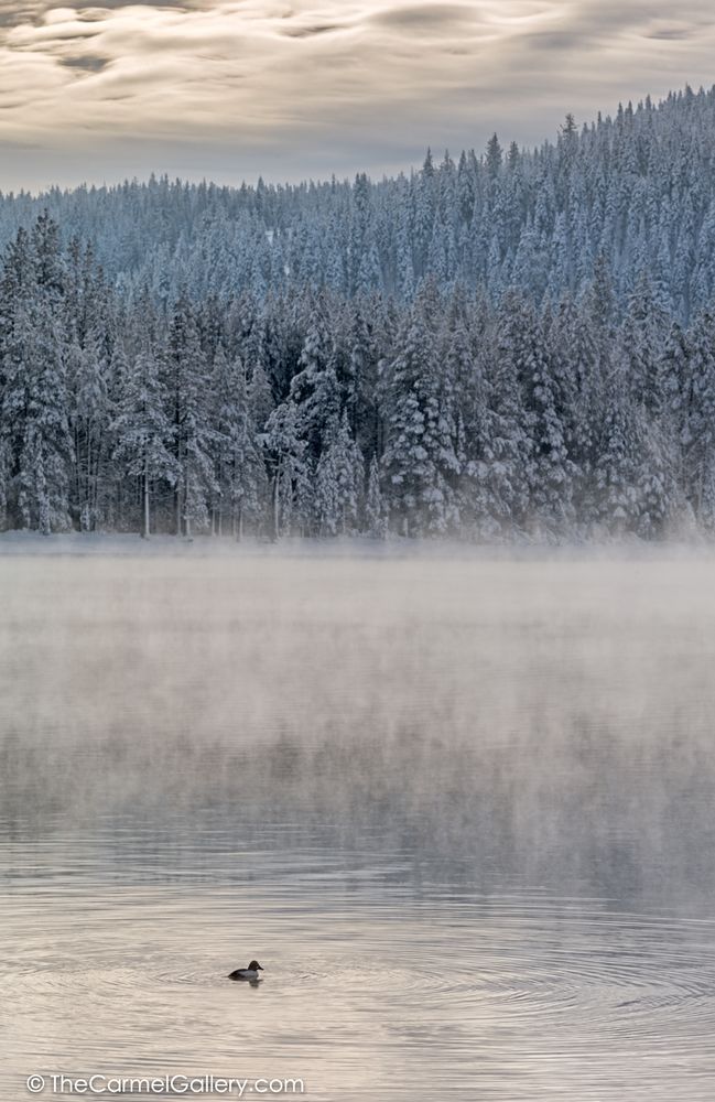 Donner Lake Mist Photography Art | The Carmel Gallery