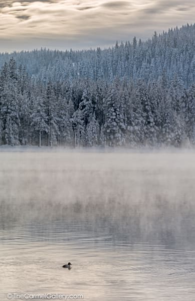 Donner Lake Mist Photography Art | The Carmel Gallery