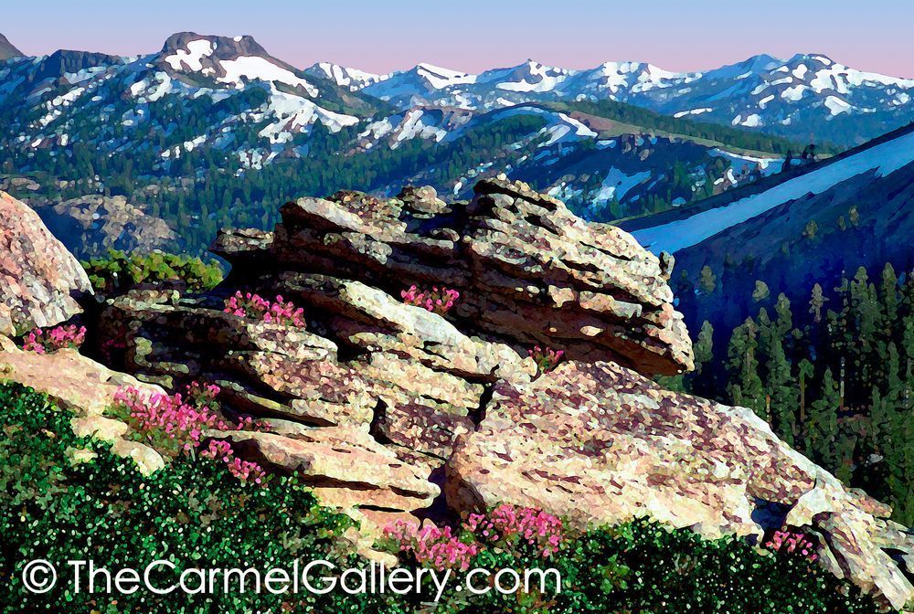 Donner Peak Penstemon