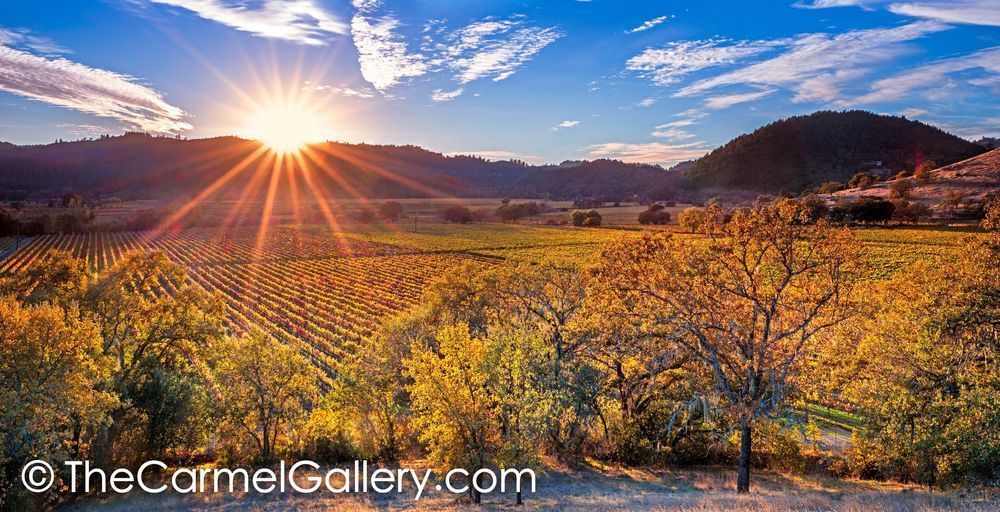 Evening Star, Napa Valley