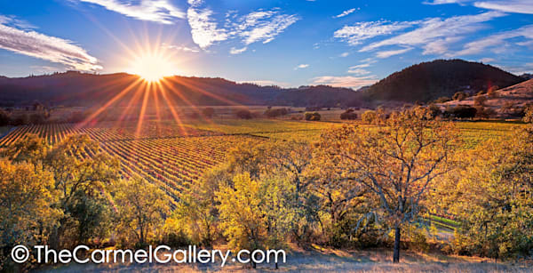 Evening Star, Napa Valley