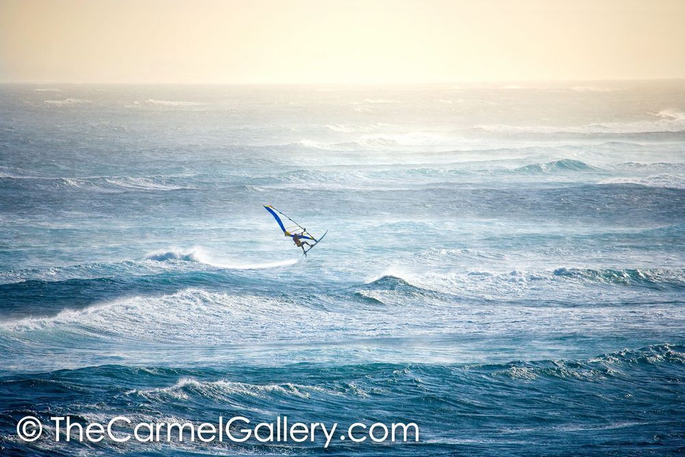 Evening Windsurfer