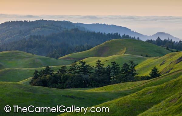 Evening Fog, Mt. Tam