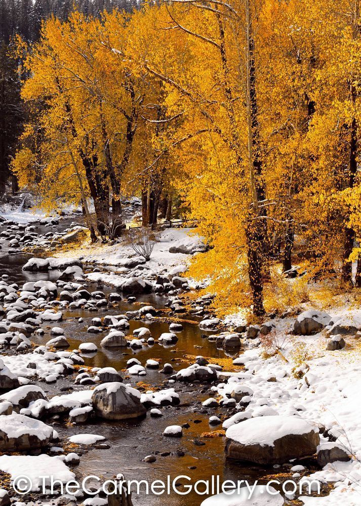 Early Snow, Truckee River