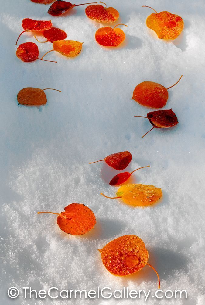 Early Autumn