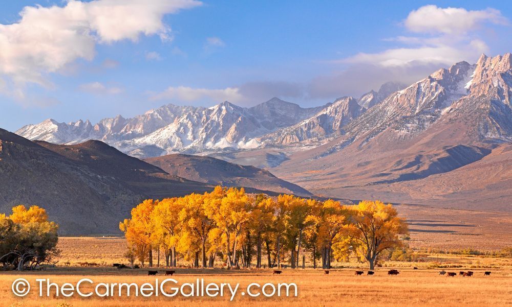 East Side Autumn