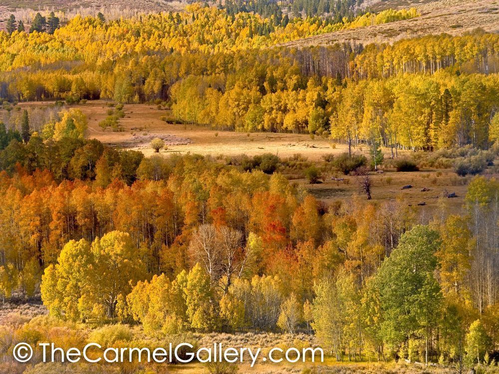 Eastern Sierra Autumn