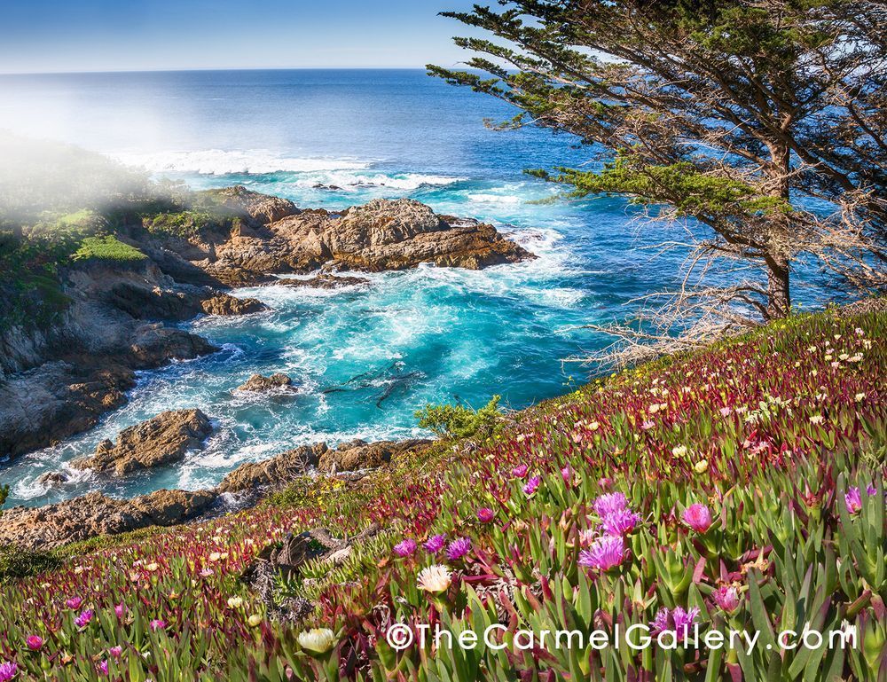 "Emerald Waters, California Coast" | Pacific Coast fine art photography prints by Olof Carmel, The Carmel Gallery