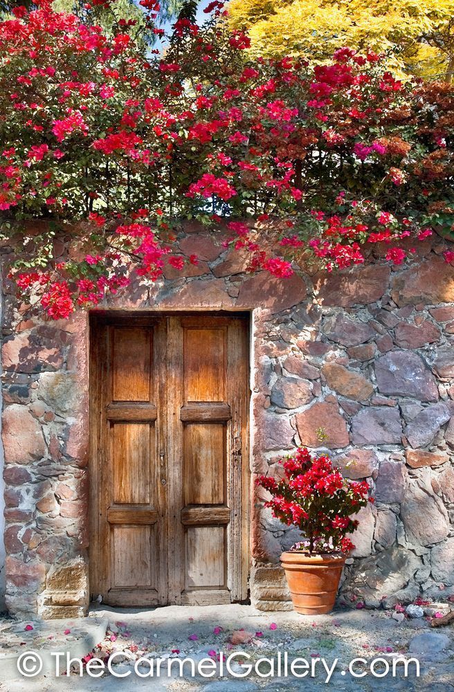 Entrada Floreada