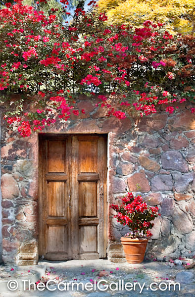 Entrada Floreada