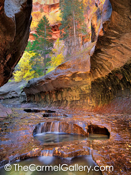 Enchanted Canyon in Autumn