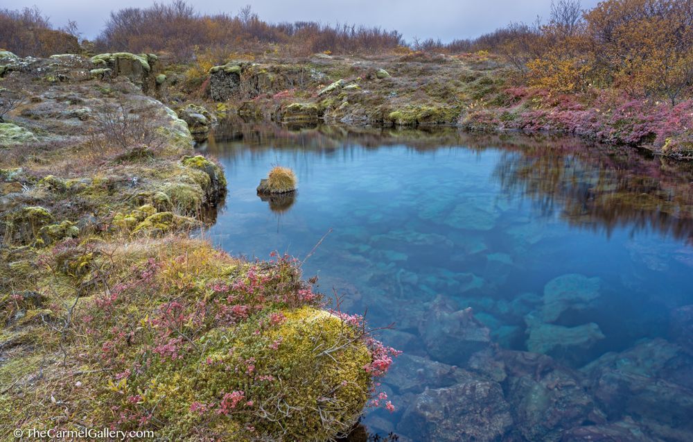 Enchanted Blue Photography Art | The Carmel Gallery