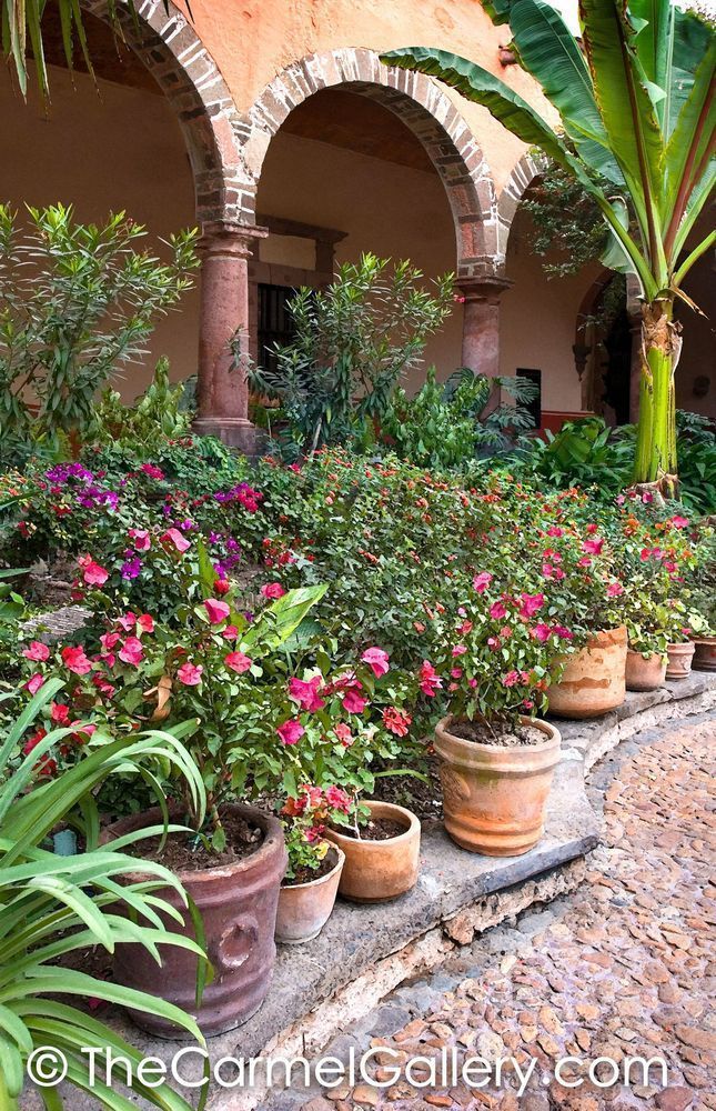 Jardin Allende