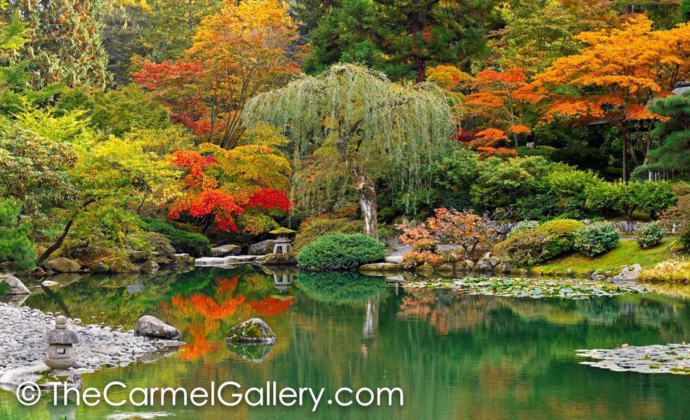 Japanese Garden in Autumn