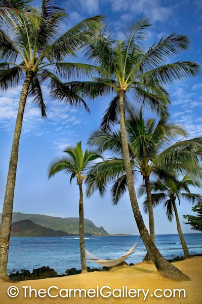 Kauai Palms
