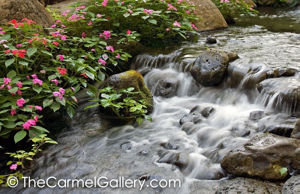 Hawaiian Cascades