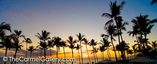 Hawaiian Evening