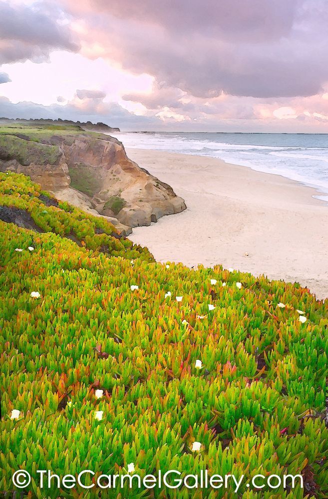 Half Moon Bay