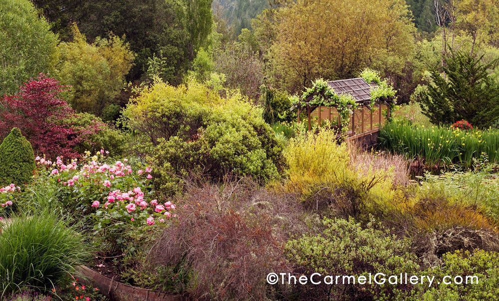 Hans Fahden Garden Photography Art | The Carmel Gallery
