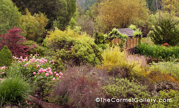 Hans Fahden Garden Photography Art | The Carmel Gallery