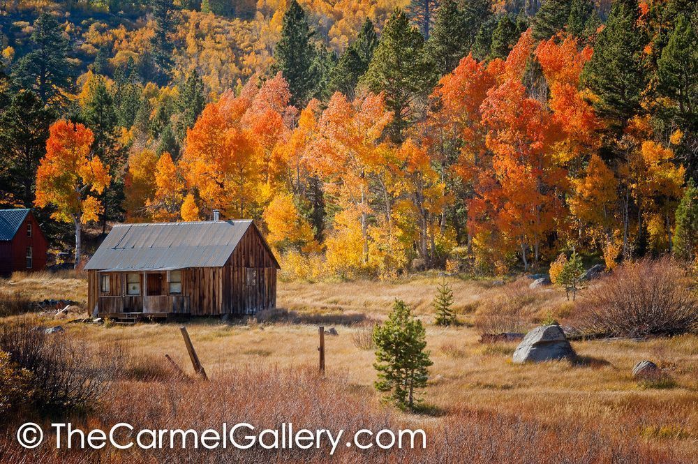 Hope Cabin Autumn